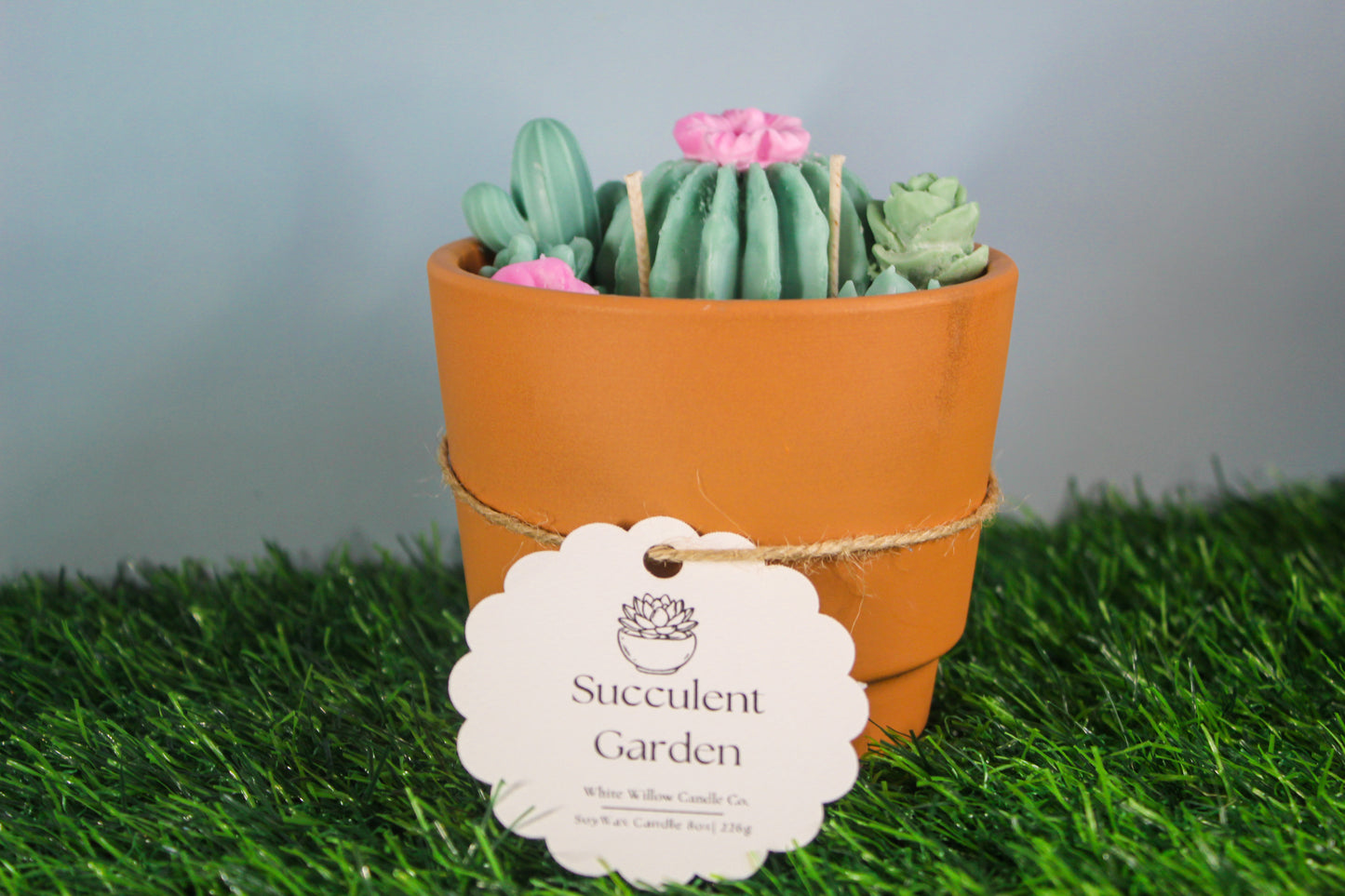 Succulent Garden