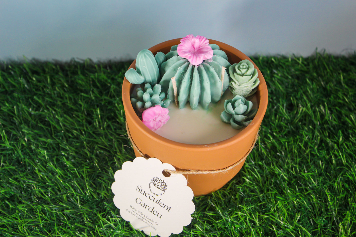 Succulent Garden