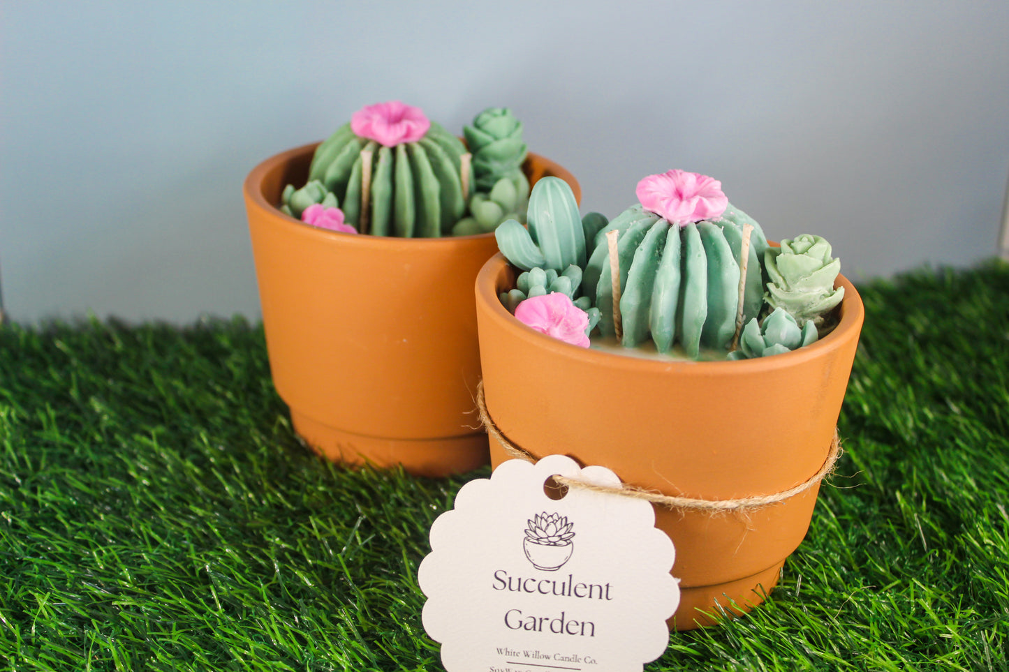 Succulent Garden