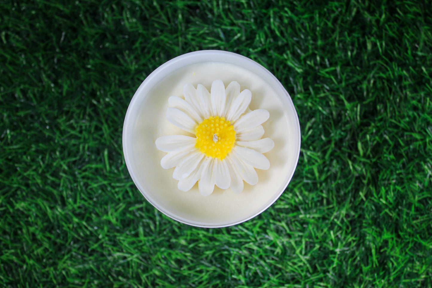 Daisy Meadow