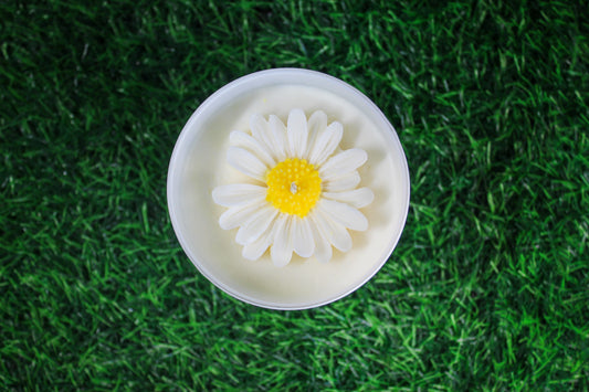 Daisy Meadow