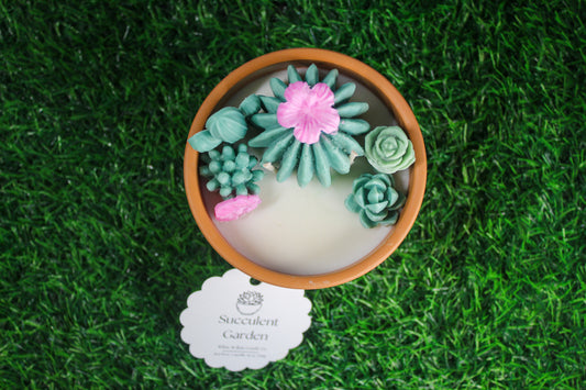 Succulent Garden