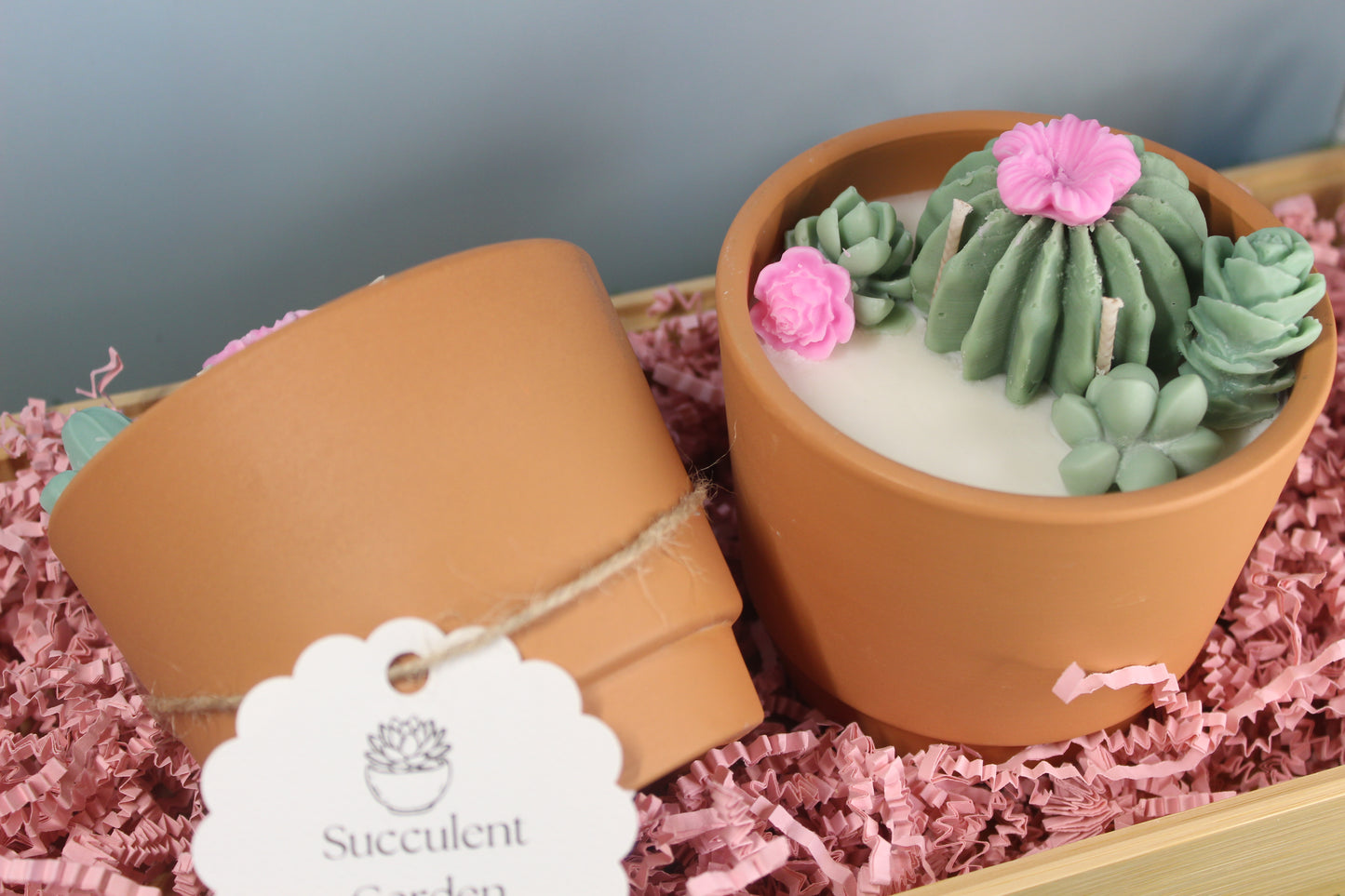Succulent Garden