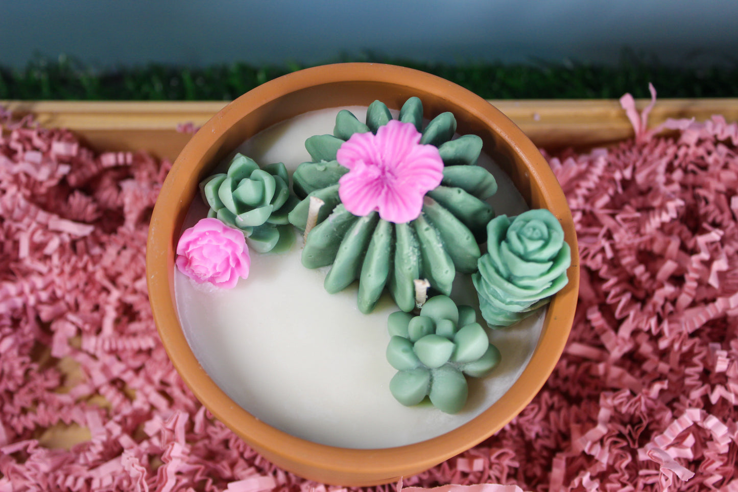 Succulent Garden